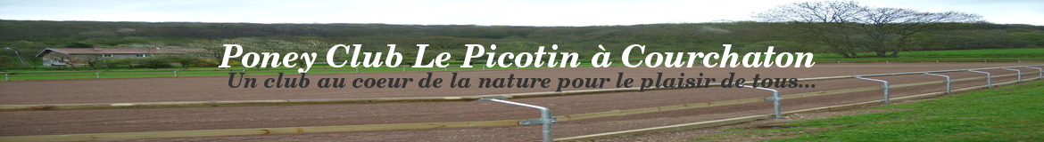 Poney Club Le Picotin à Courchaton 