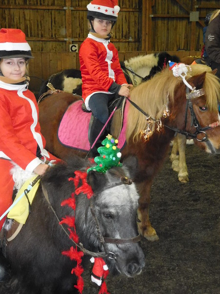 Poney Club Le Picotin à Courchaton - Photos fêtes de Noël